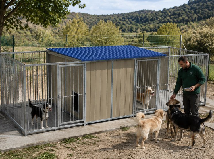 Perreras interiores y portátiles para uso doméstico en España Cómo proteger a tu perro de pulgas y garrapatas todo el año en España